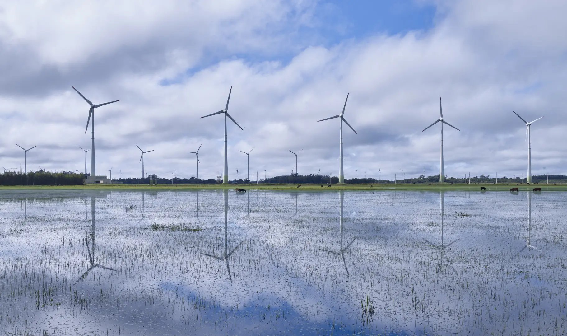 Foto de parque-eolico-de-osorio-brasil-2.jpg
